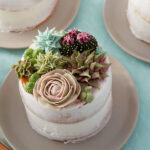 5 Stunning Buttercream Succulent Desserts!