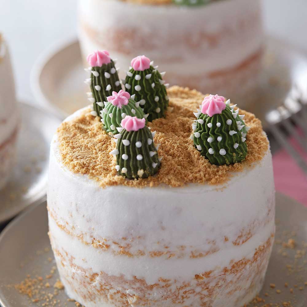 Mini Succulent Cakes