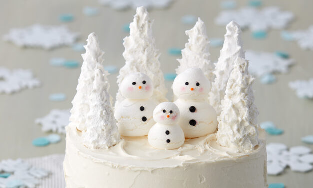 7 Winter Cakes for January Birthdays