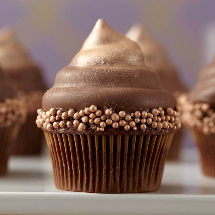 chocolate bronze cupcakes