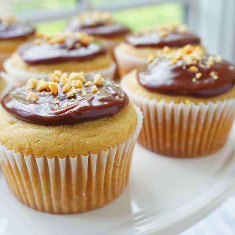 peanut butter cupcakes with milk chocolate glaze