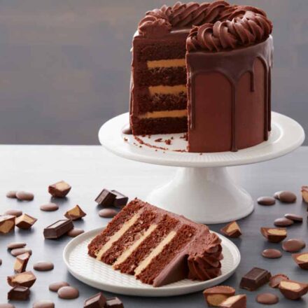 chocolate cake with peanut butter filling